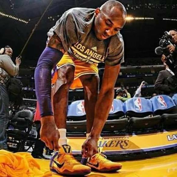 Meet your Posher, Darius - Picture 1 of 1